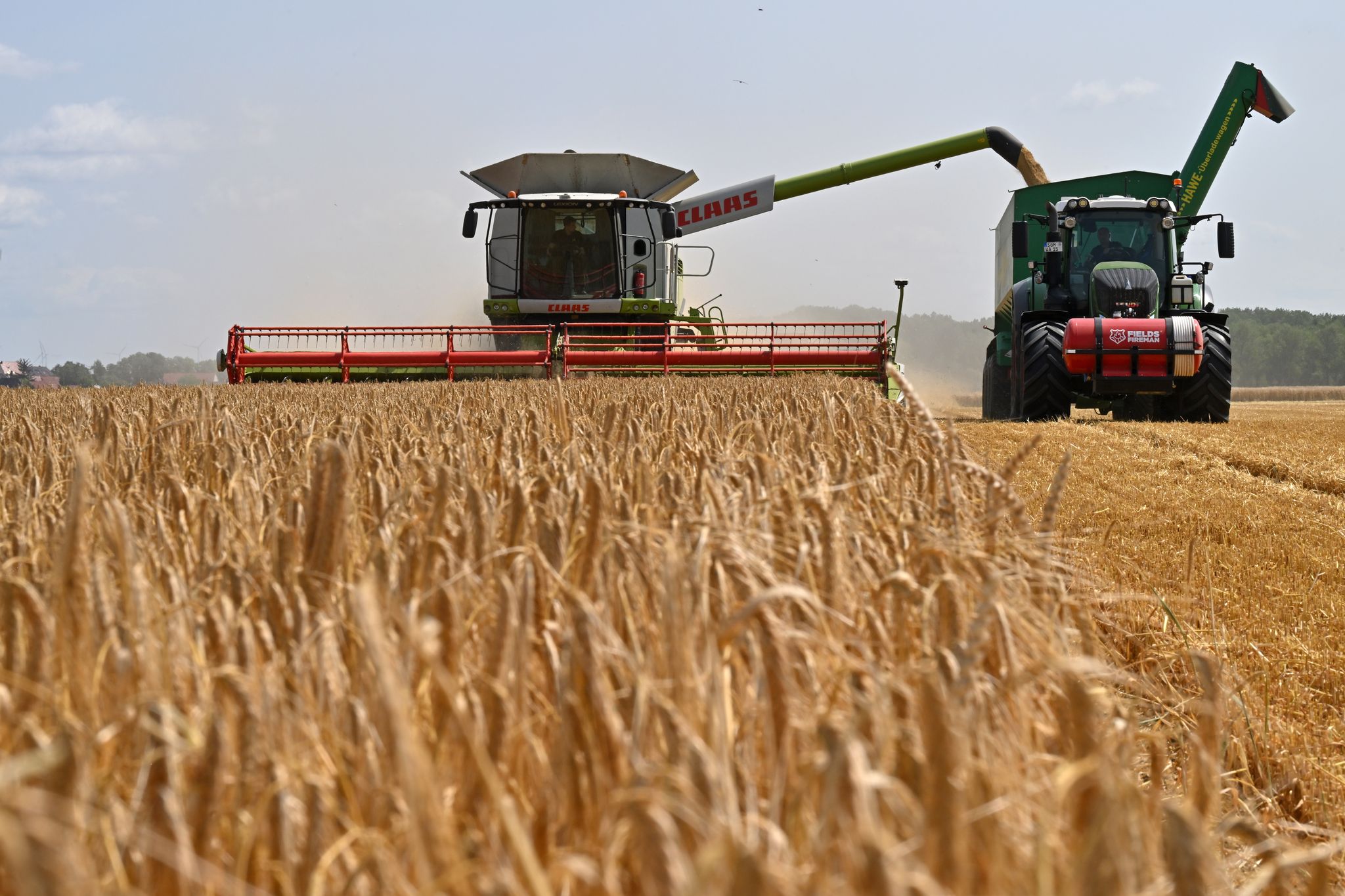 Getreideernte 
In Thringen sind die Mhdrescher unterwegs. Ernteprognosen wagt noch niemand. Martin Schutt/dpa
