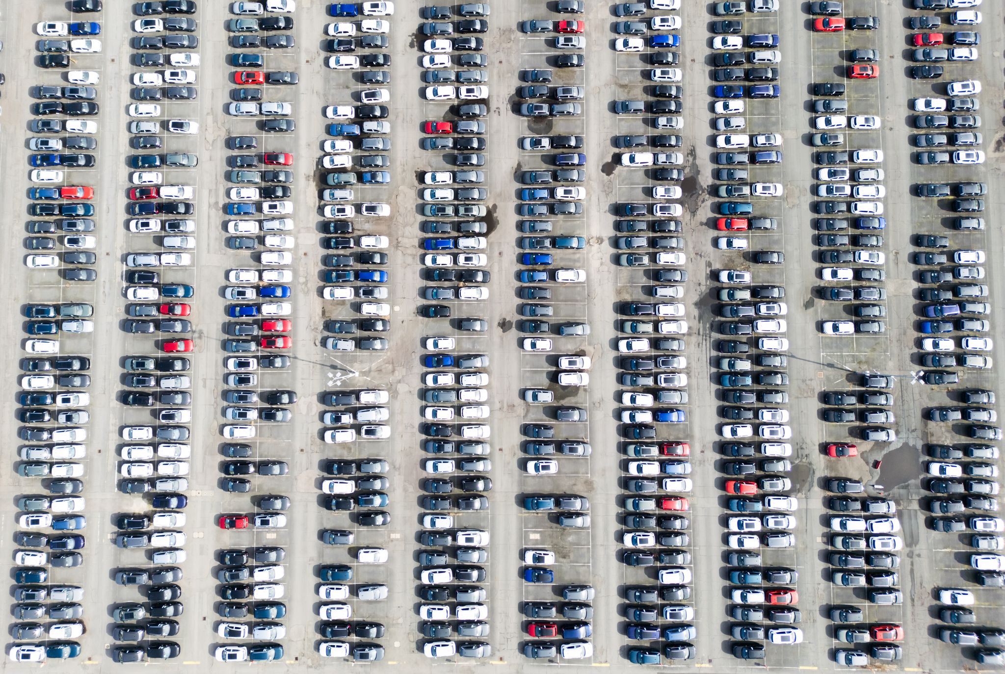 Neuwagen von Volkswagen stehen in Wolfsburg. (Symbolbild)